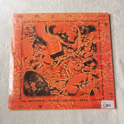 Nirvana – In Utero (LP) – source photograph 1