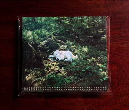 Hiroshi Fujiwara – Slumbers – Japanese CD with Passport Bonus
