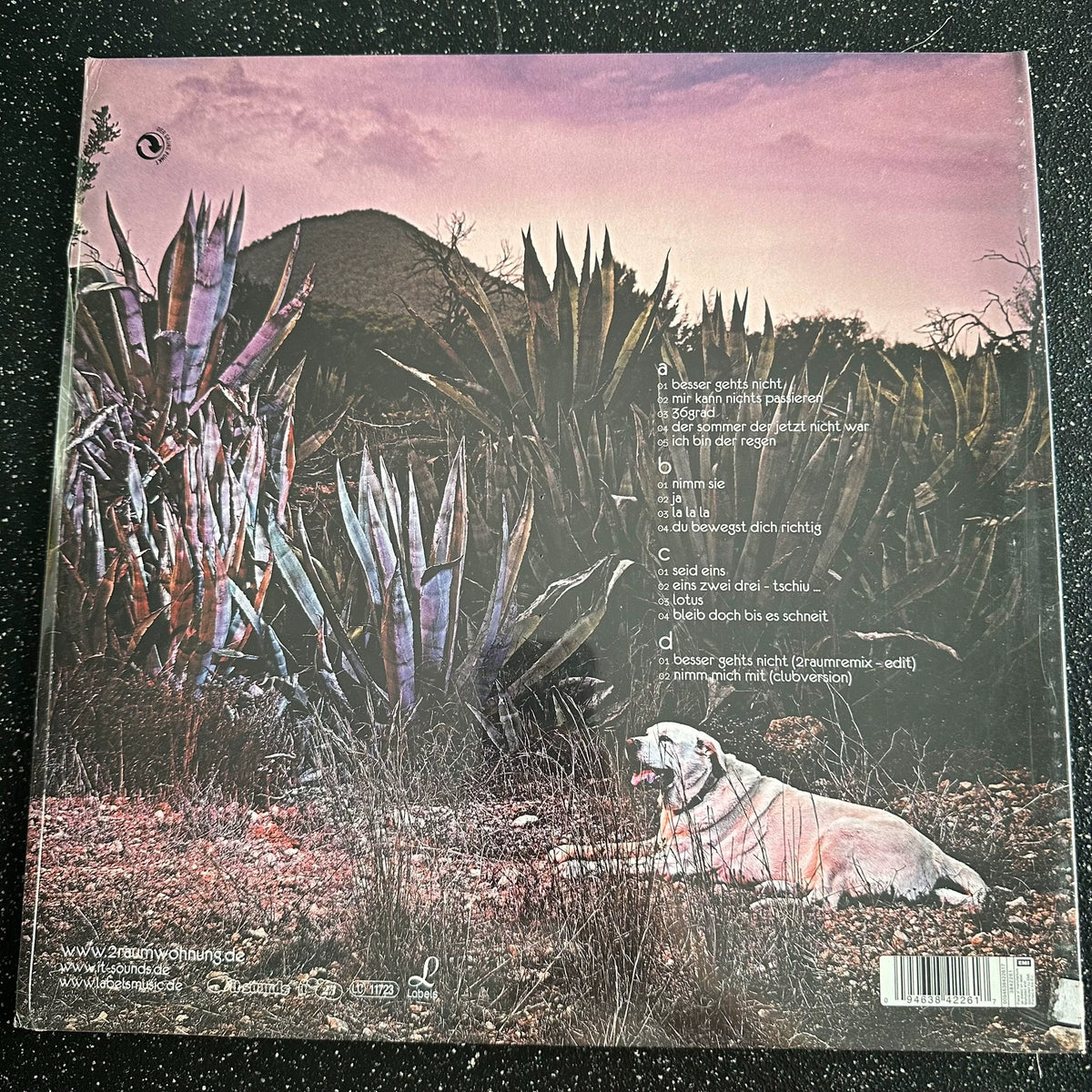 2raumwohnung – 36 Grad (2LP) – photo 2
