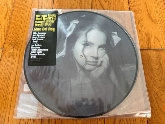 Lana Del Rey – Ocean Blvd – Picture Disc 2LP