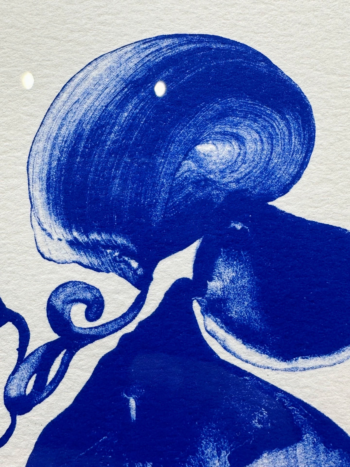 Blue Orchid – Numbered Framed Print 120/125 – actual item photograph 5