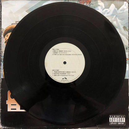Various – Constant Elevation (2LP) – photo 5