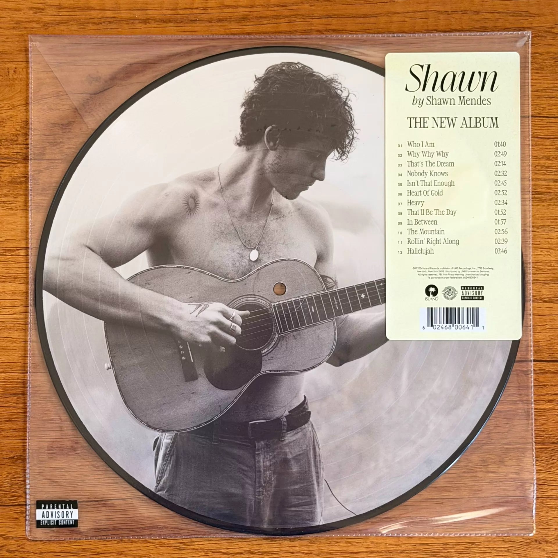 Shawn Mendes – Shawn Webstore Exclusive Picture Disc Vinyl