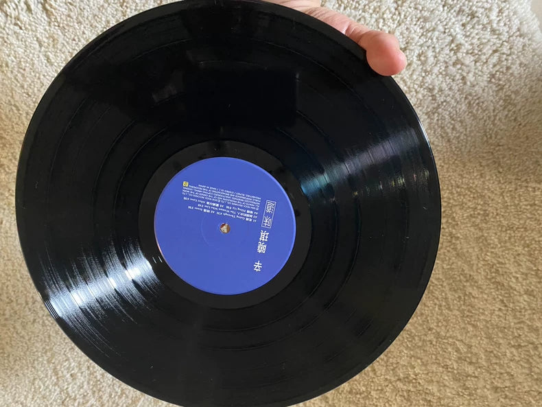 Winnie Hsin – 味道 – Rock Records Vinyl LP