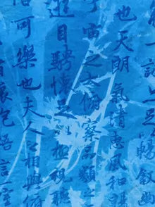 Lanting Preface and Botanicals — Cyanotype Textile, 150 × 75cm
