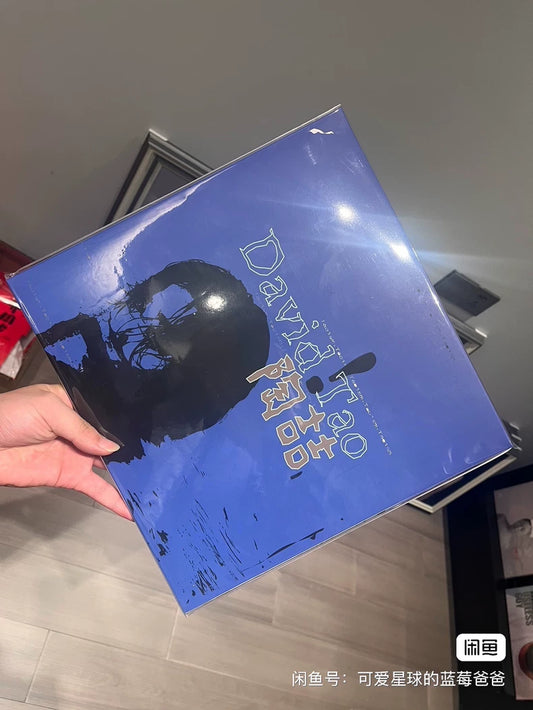 陶喆 – David Tao 同名專輯 – 藍膠唱片 (LP)