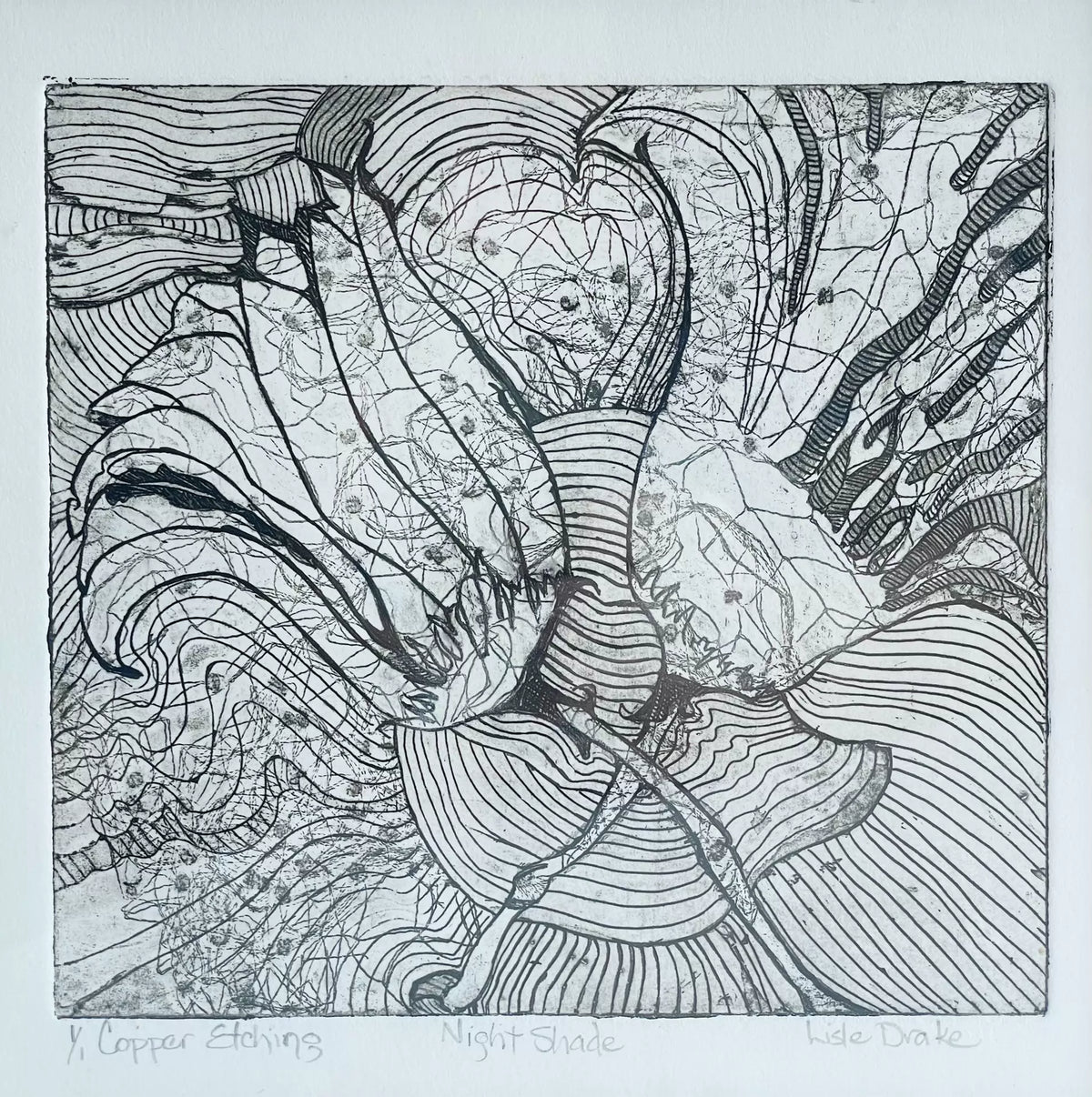 Lisle Drake – Night Shade – Framed Etching – actual item photograph 4