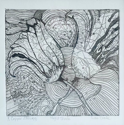 Lisle Drake – Night Shade – Framed Etching – actual item photograph 4