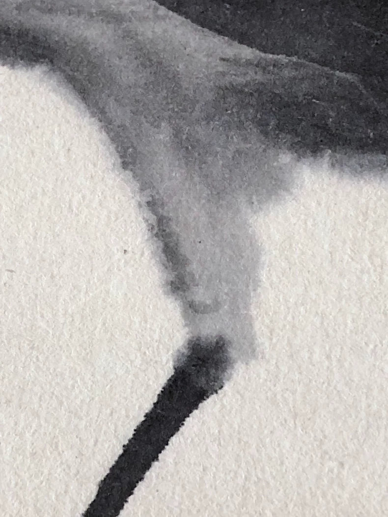Zhu Da “Bird” Fine Art Reproduction on Xuan Paper