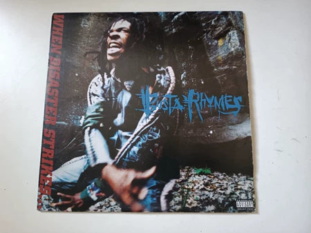 Busta Rhymes – Anarchy, First US Pressing (Vinyl) – photo 1
