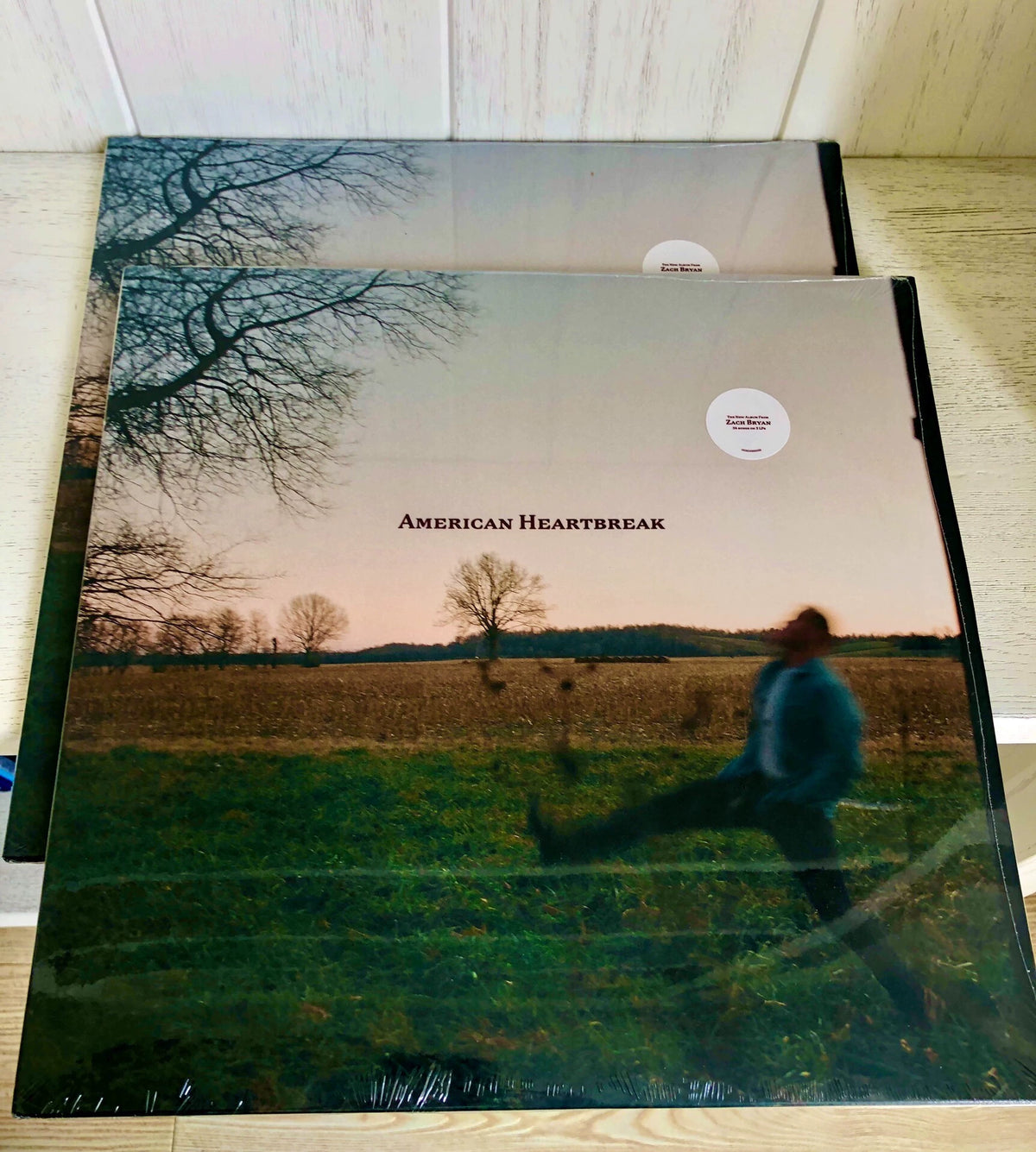 Zach Bryan – American Heartbreak (3LP) – photo 2