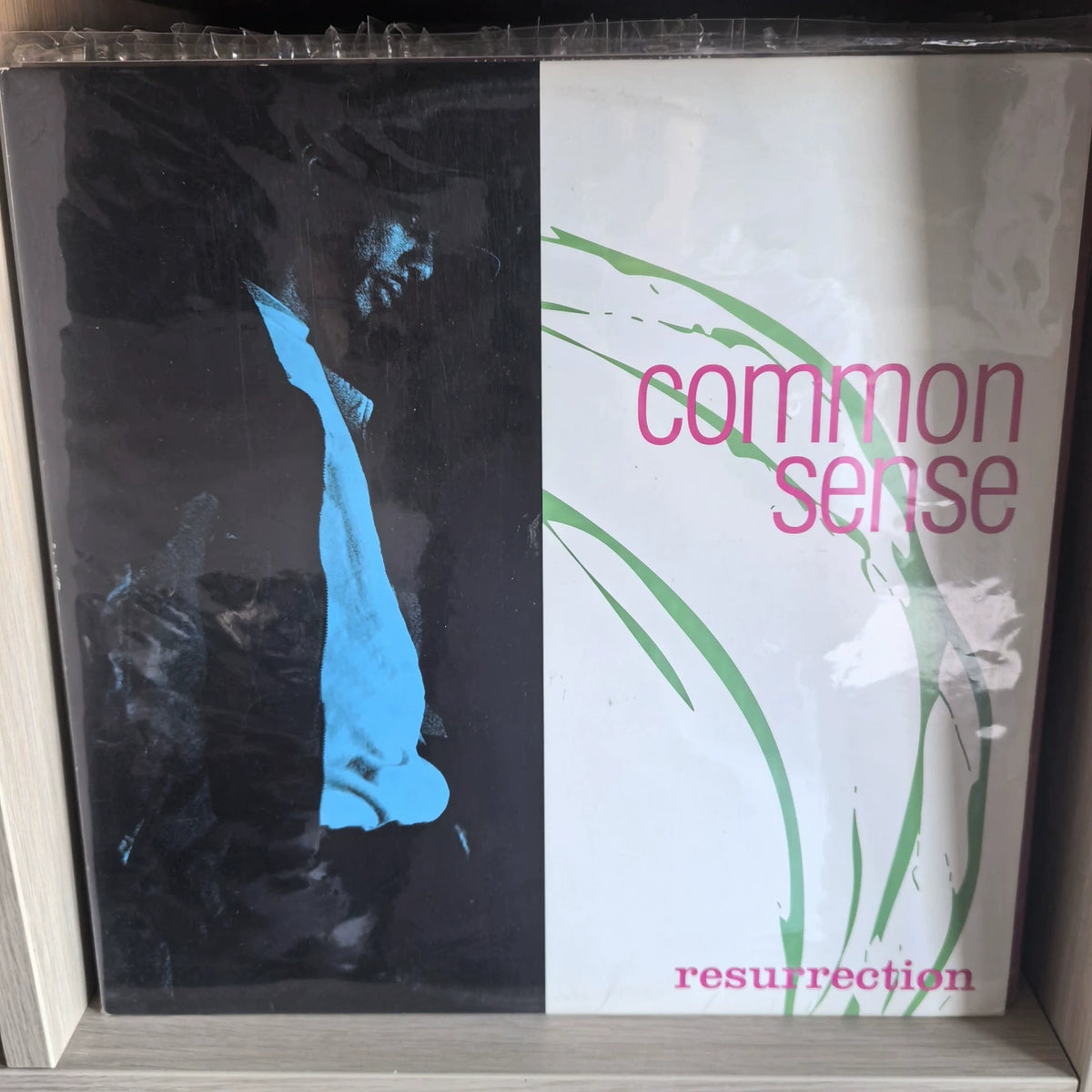 Common Sense – Resurrection, 1997 Reissue (LP) – photo 1