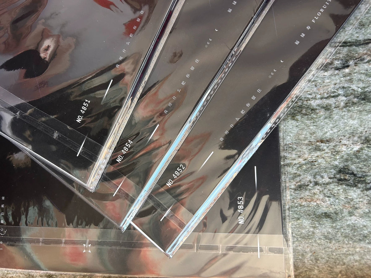 福祿壽FloruitShow – 我用什麼把你留住 – 限量黑膠唱片 (LP)