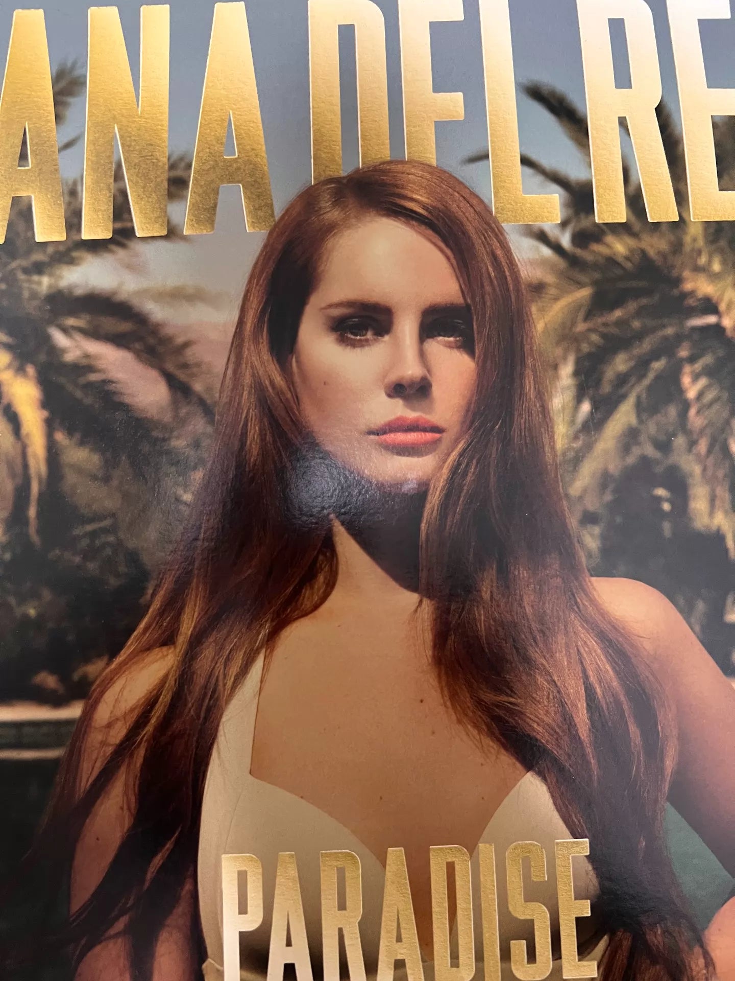 Lana Del Rey Paradise vinyl exact copy