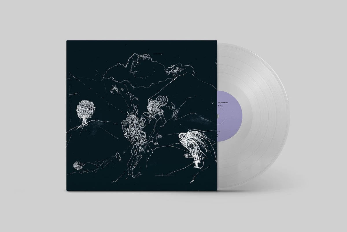 Anenon – Dream Temperature – Clear Vinyl LP — product detail 7