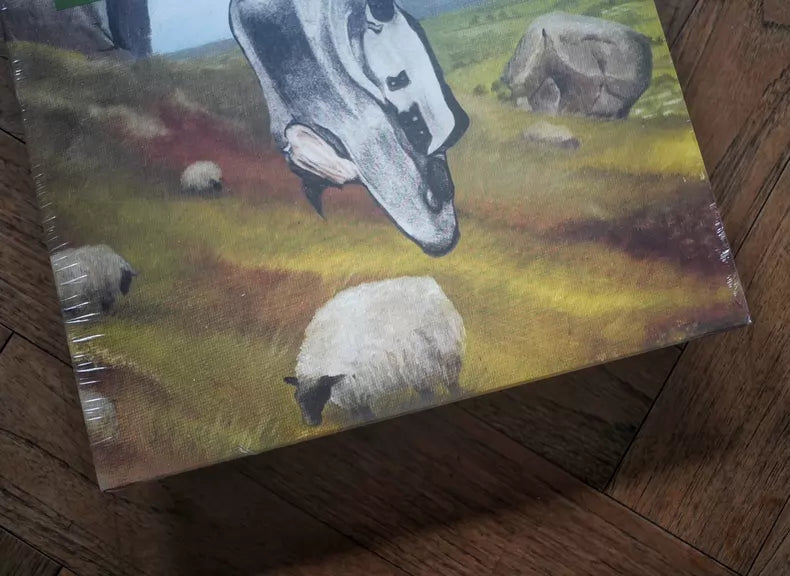 English Teacher – This Could Be Texas – 2024 Green Vinyl (LP) — photo 5