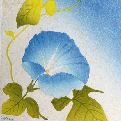 Kayoko Miyayama – Morning Glory – Print — product detail 6