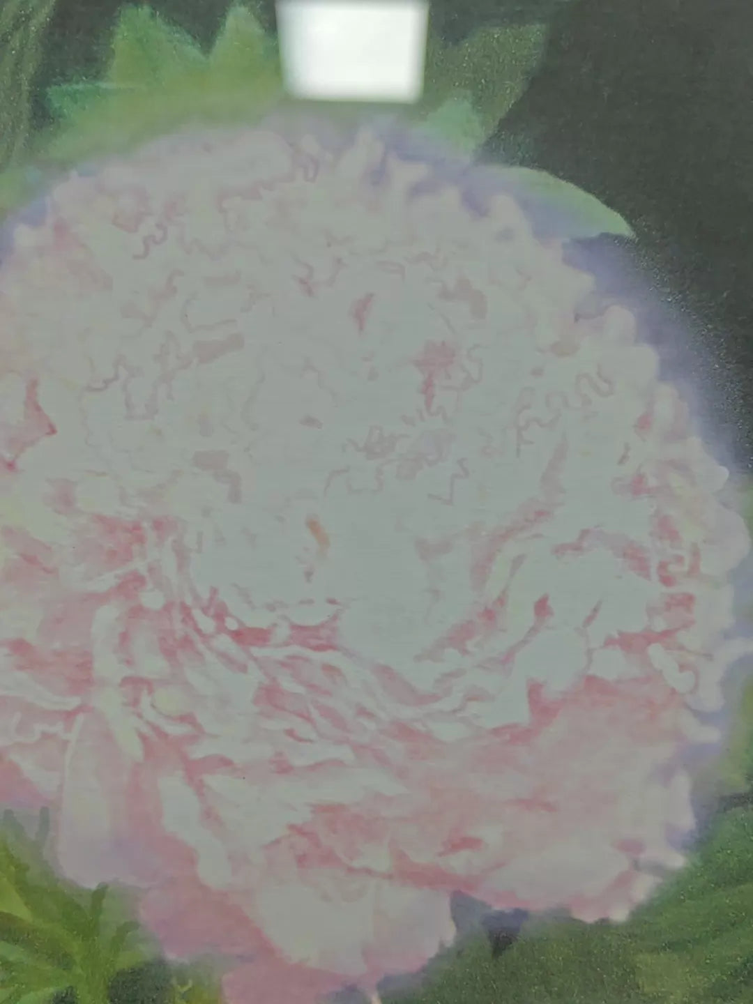 Naoko Hara – Peonies – Framed A/P Print – detail 7