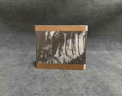 Swans – Soundtracks for the Blind – 1996 US (2CD)