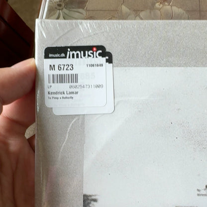 Kendrick Lamar – To Pimp a Butterfly – Vinyl (2LP)