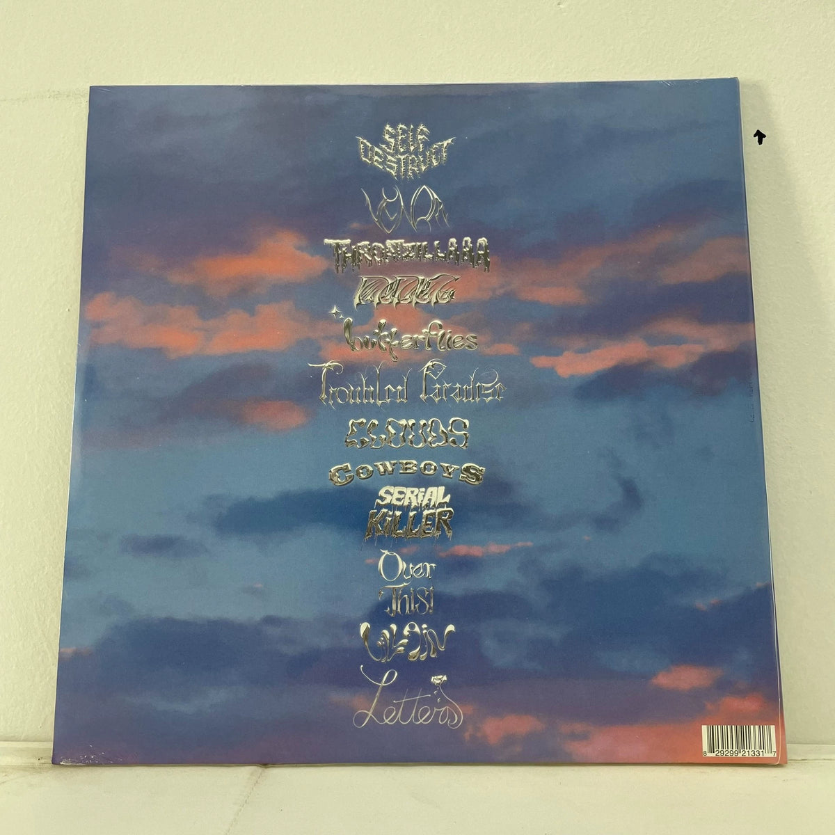 Slayyyter – Troubled Paradise – Sealed Vinyl LP – actual copy photo 2