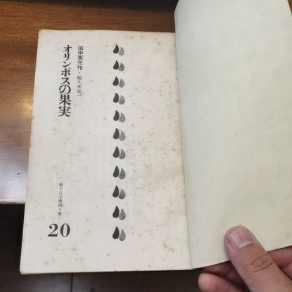Hidemitsu Tanaka – Fruit of Olympus, Japanese Book – photo 2