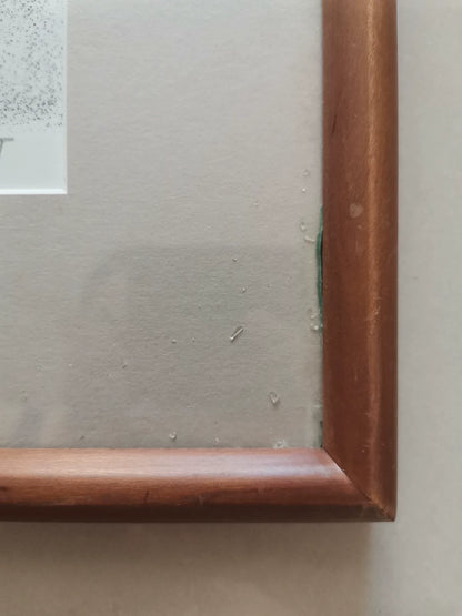 Tomizo Yamazaki – Twilight – Signed Framed Print – detail 4
