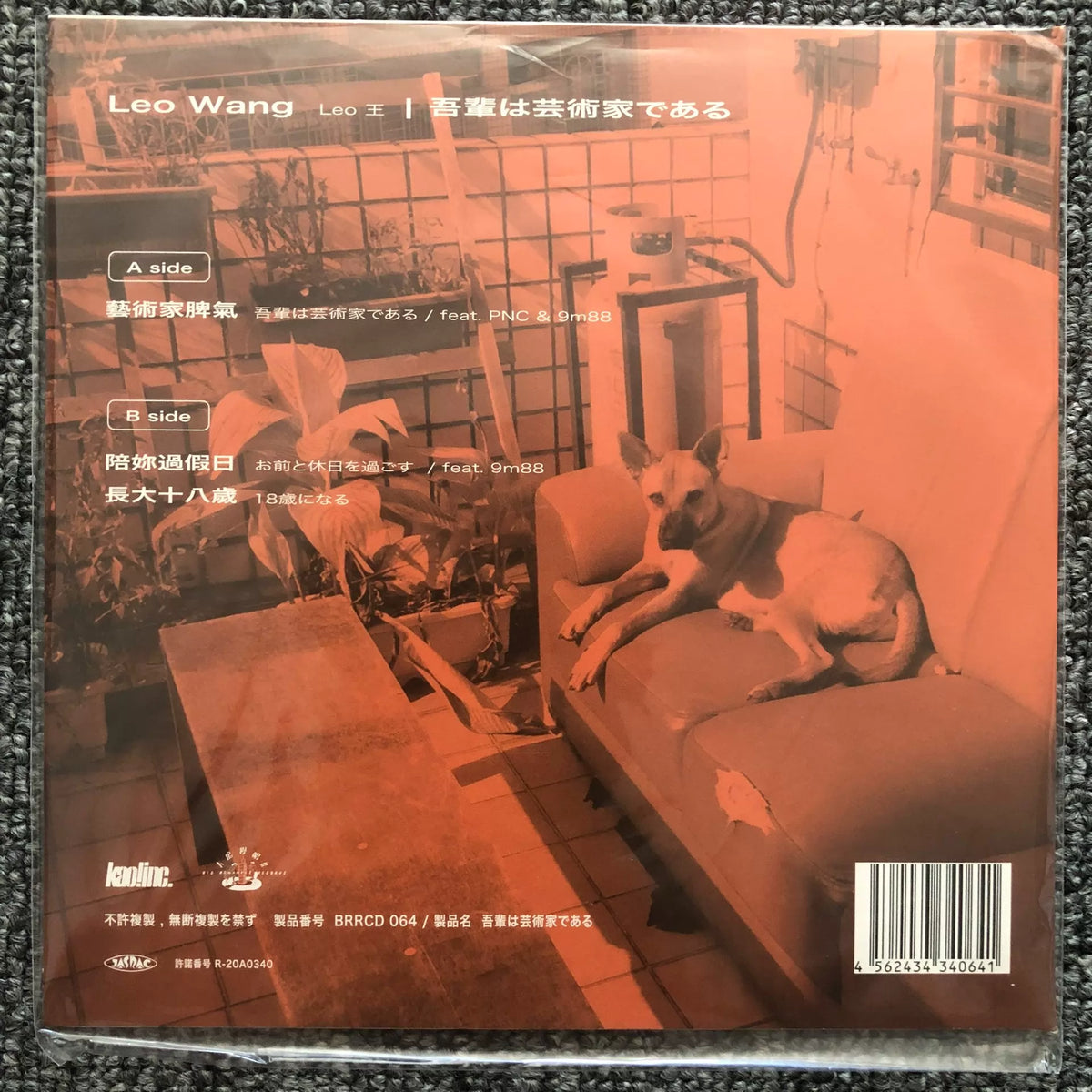 Leo Wang – Yi Shu Jia Pi Qi (7") – photo 2