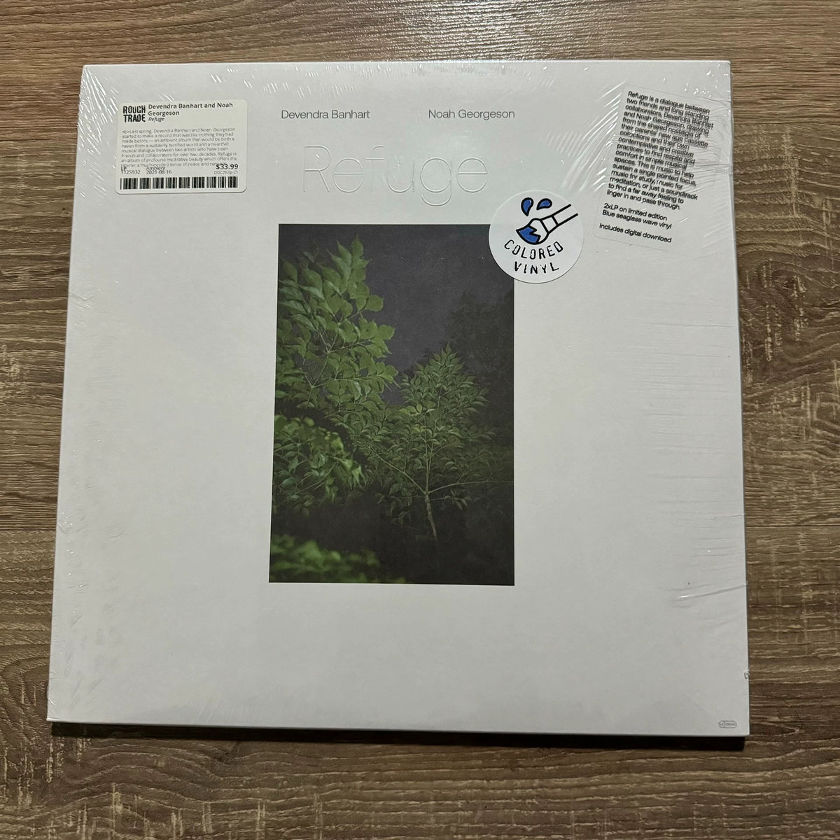 Devendra Banhart & Noah Georgeson – Refuge, Sea Glass Vinyl (2LP) – photo 1