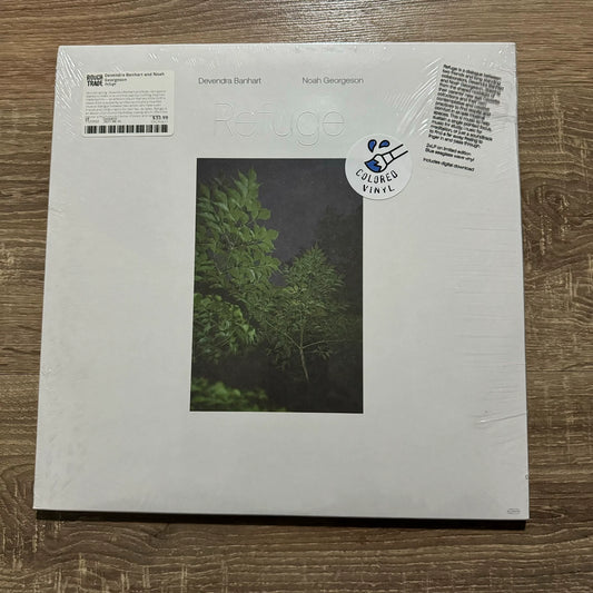 Devendra Banhart & Noah Georgeson – Refuge, Sea Glass Vinyl (2LP) – photo 1