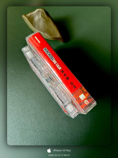 Morcheeba – Big Calm (Cassette) – photo 4