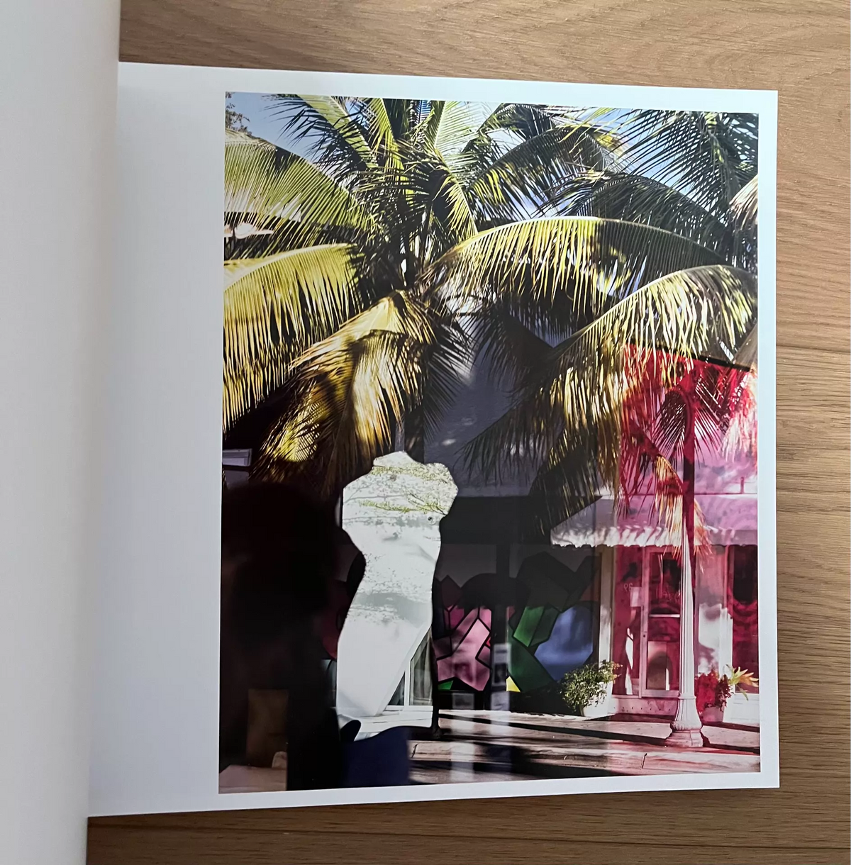 Anastasia Samoylova and Walker Evans – Floridas – STEIDL Photography Book — product detail 6