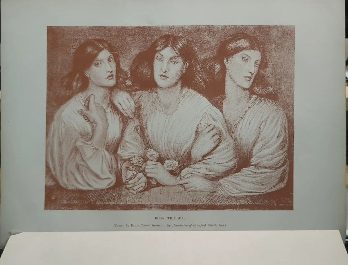 Triple Rose – Soft-Ground Etching — product detail 2