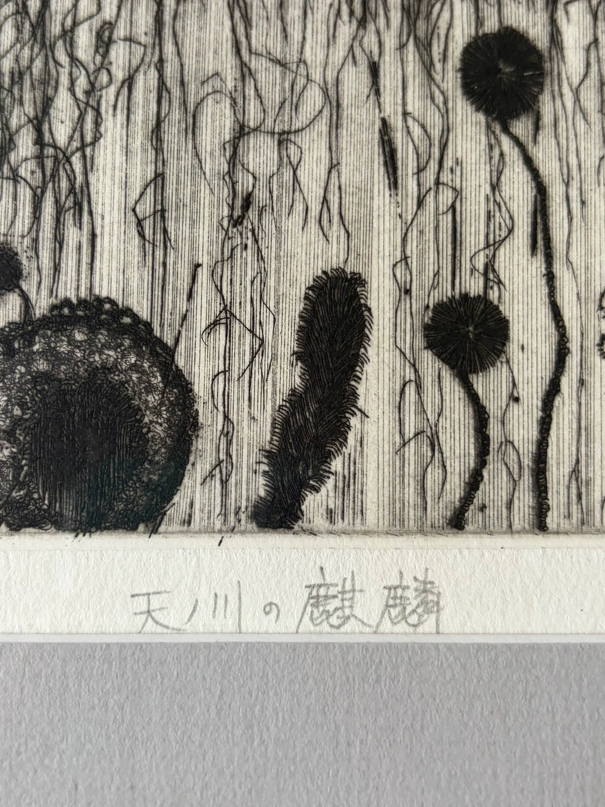 Galaxy Kirin – Signed Etching, 1996, 2/35