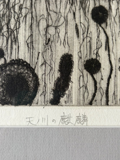 Galaxy Kirin – Signed Etching, 1996, 2/35
