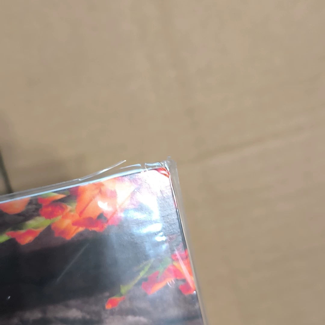The Last Dinner Party – Prelude to Ecstasy – Japanese Red Vinyl with Signed Card – detail 4