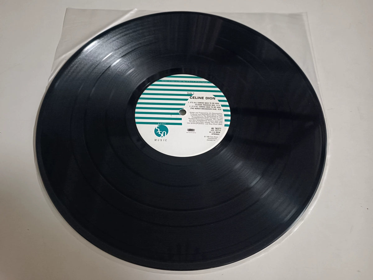 Celine Dion – It's All Coming Back To Me Now; actual item detail