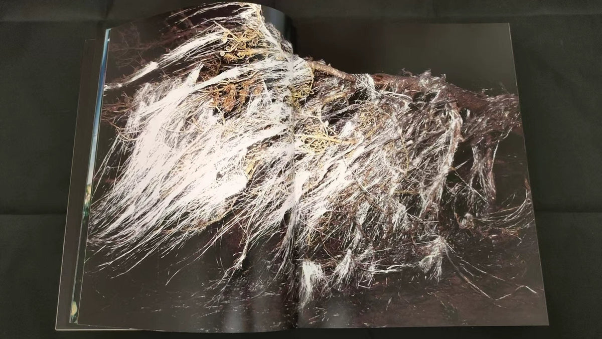 Lieko Shiga – Rasen Kaigan / Spiral Coast Signed Photography Book — product detail 3