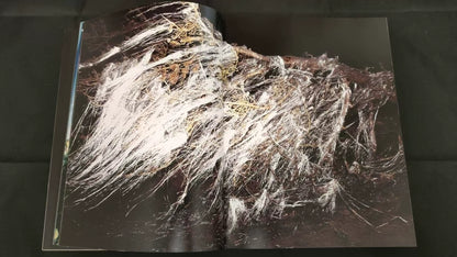 Lieko Shiga – Rasen Kaigan / Spiral Coast Signed Photography Book — product detail 3