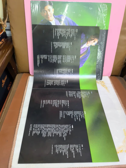 Danny Chan – Winter Warmth 1988 Hong Kong First-Press Vinyl LP