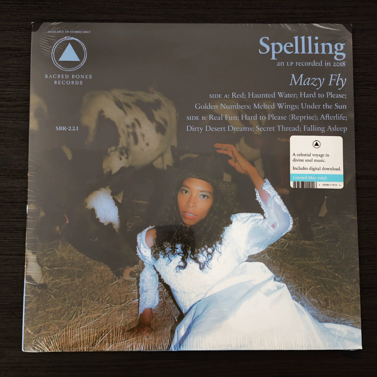 Spellling – Mazy Fly, Blue Marble Vinyl (LP) – photo 1