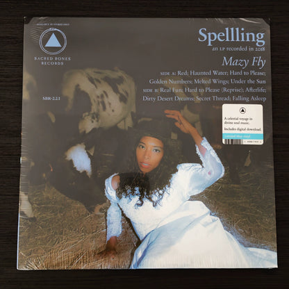 Spellling – Mazy Fly, Blue Marble Vinyl (LP) – photo 1