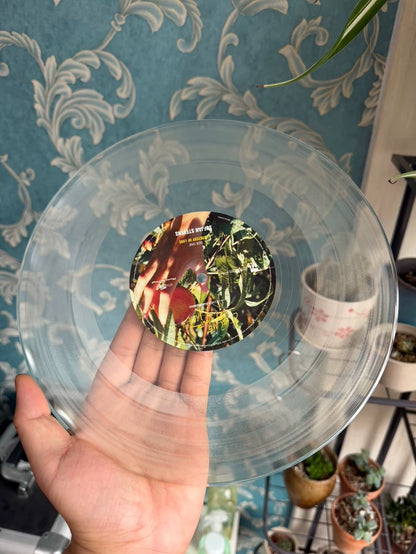 Sufjan Stevens – Mystery Of Love – Clear Vinyl – No. 2201