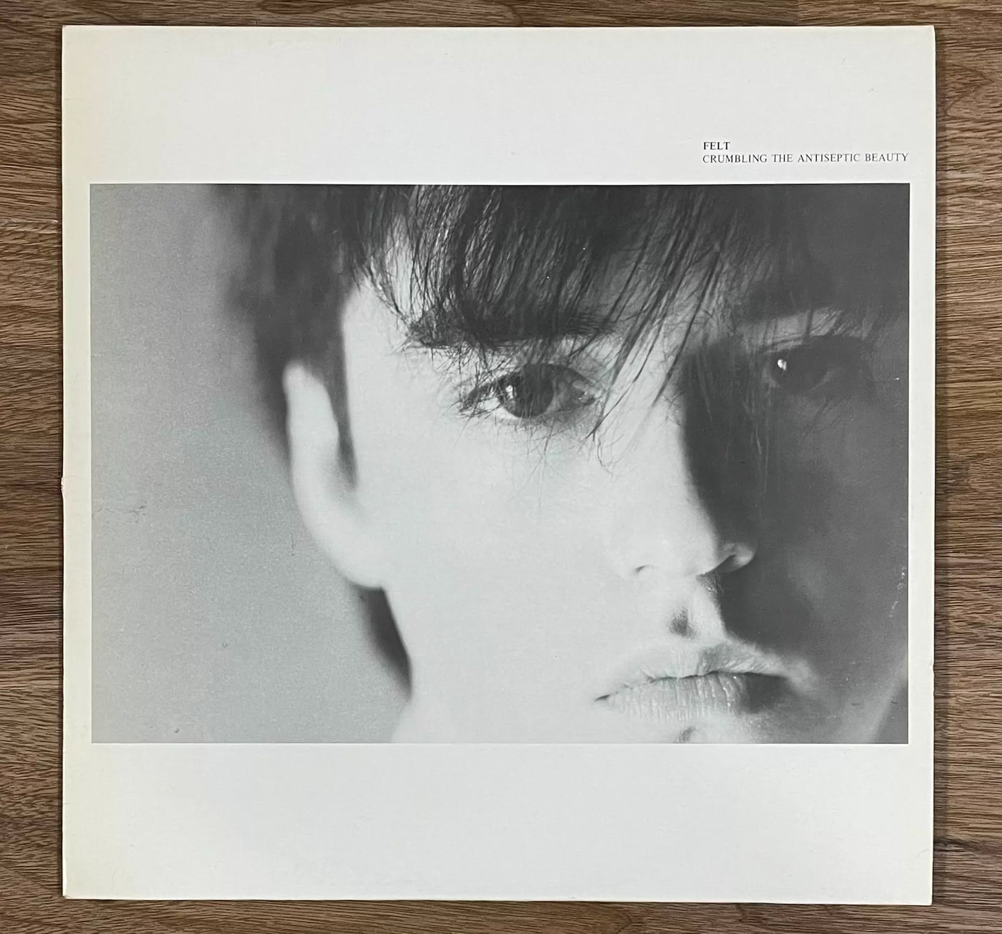 Felt – Crumbling the Antiseptic Beauty 1982 UK First-Press Vinyl LP — front view