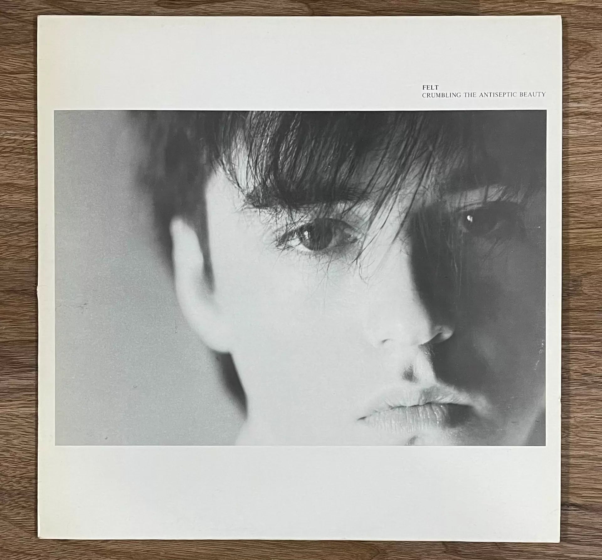 Felt – Crumbling the Antiseptic Beauty 1982 UK First-Press Vinyl LP — front view