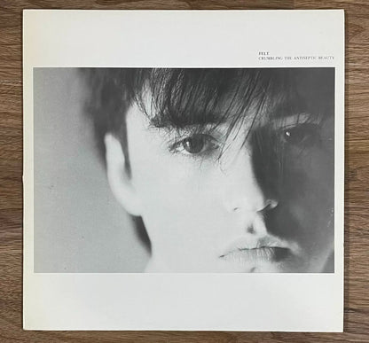 Felt – Crumbling the Antiseptic Beauty 1982 UK First-Press Vinyl LP — front view