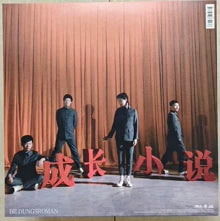 Hiperson – 成长小说 (2LP)