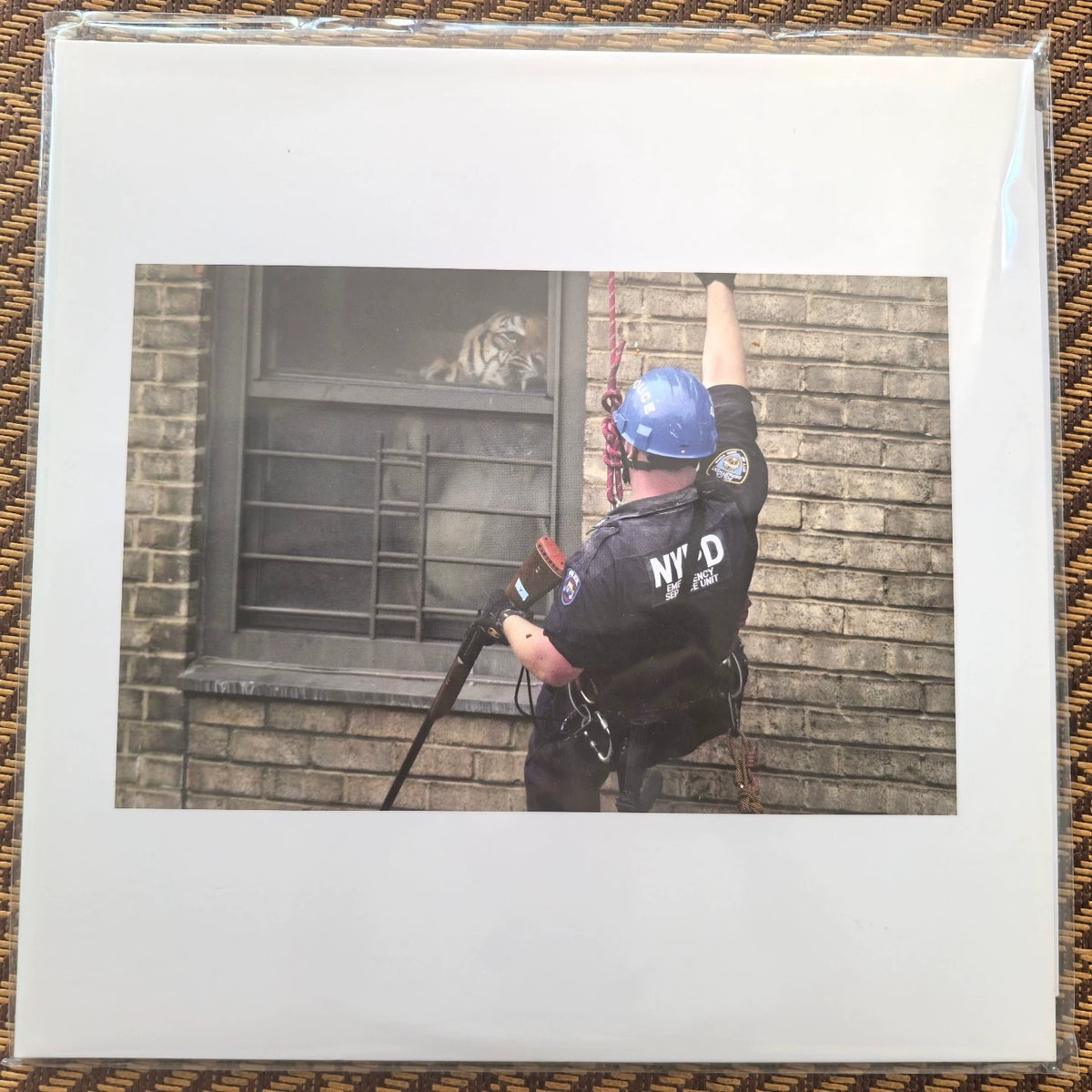 Armand Hammer – Shrines, Tiger-Eye Vinyl (LP) – source photograph 1