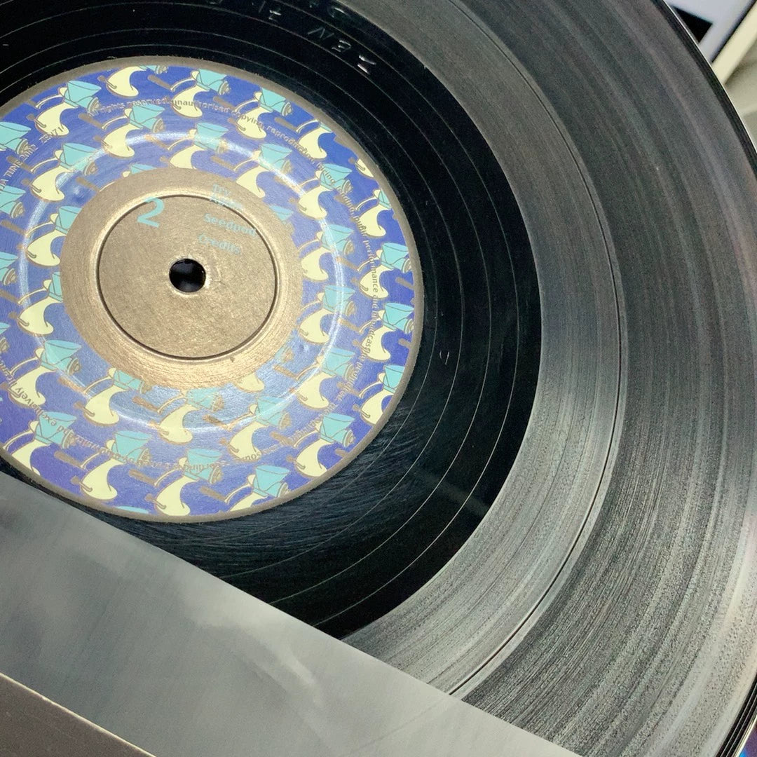 Homelife – Flying Wonders (2LP) – photo 5