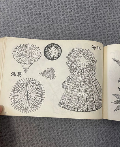Flowers in Water: Aquatic Pattern Designs / 水中之花 (Book) – source photo 6